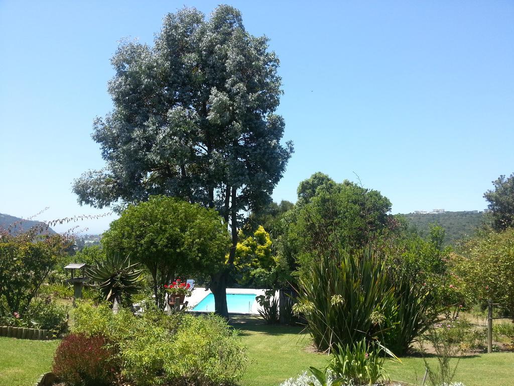 Piesang Valley Lodge Plettenberg Bay Bilik gambar