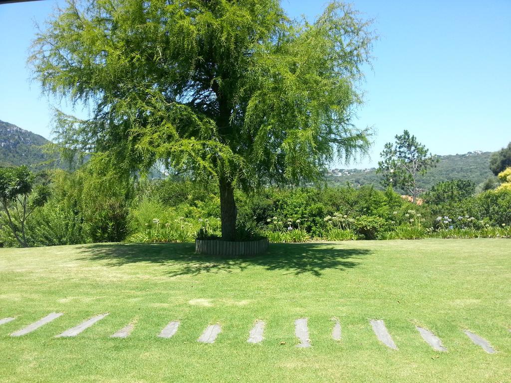 Piesang Valley Lodge Plettenberg Bay Bilik gambar